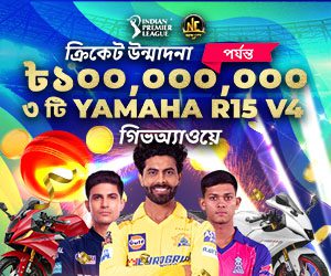 আইপিএল ২০২৫ ক্রিকেট উন্মাদনা